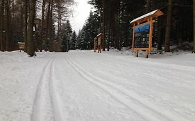 Apartament Numer 5